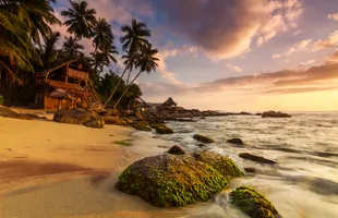 Colorful coral reefs visible through the clear waters of Hikkaduwa.