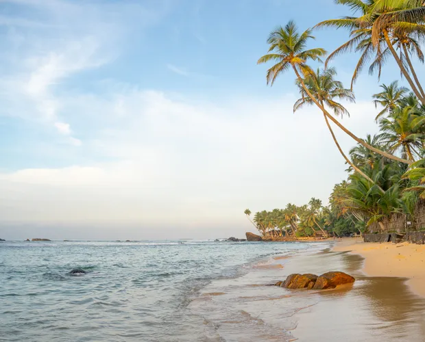 Palm-fringed beaches and gentle waves in the coastal town of Mirissa.