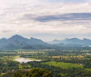 The serene Kandalama Reservoir reflecting the surrounding jungle and sky.